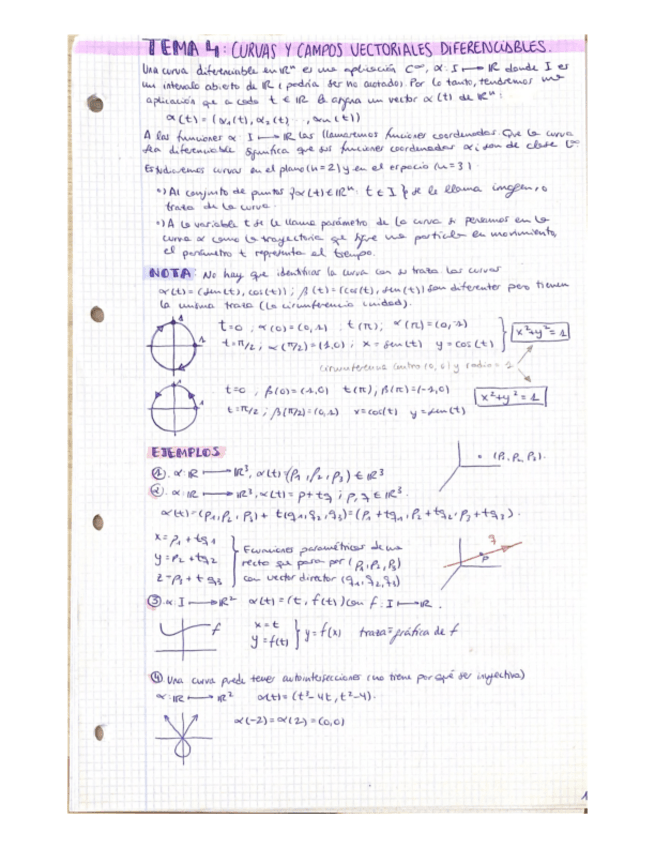 Miniatura del documento Tema-4-curvas-y-campos-vectoriales-diferenciables.pdf