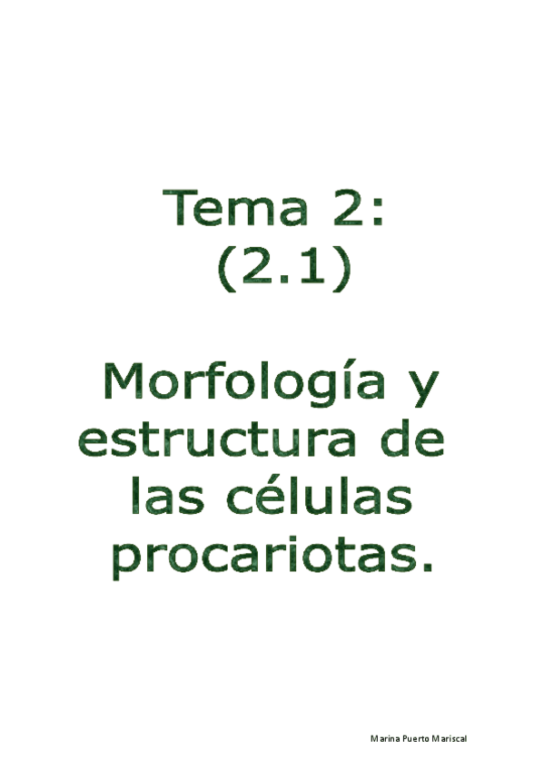 Miniatura del documento Micro t2.1.pdf
