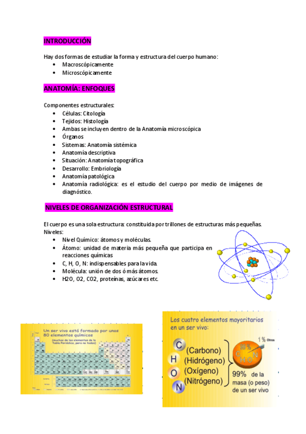 Miniatura del documento apuntes-anato.pdf