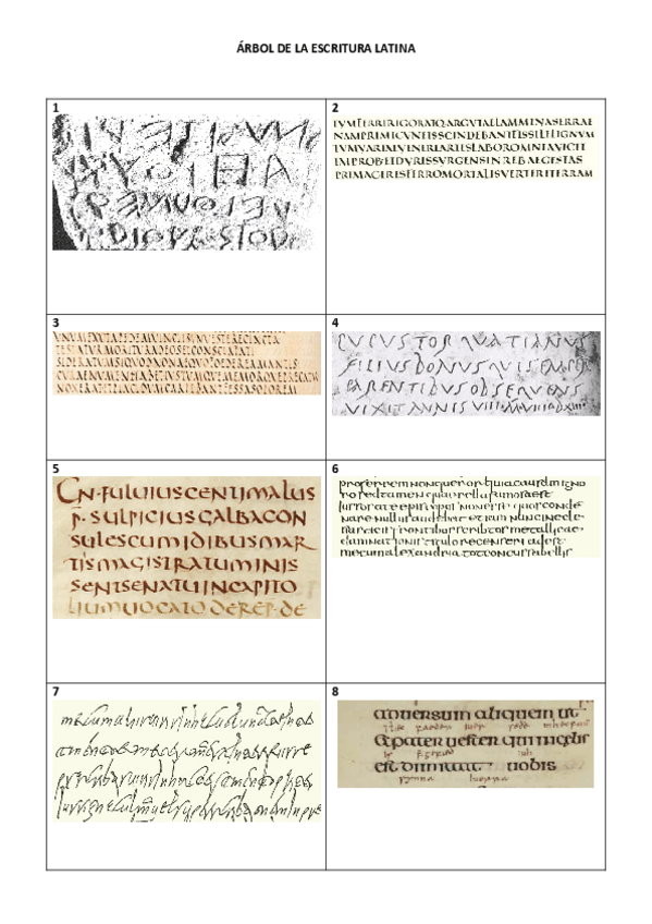 Miniatura del documento Practica-de-tipos-de-escrituras-latinas-I-4.pdf