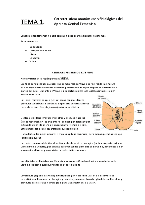 Miniatura del documento TEMA-1-Aparato-genital-femenino.pdf