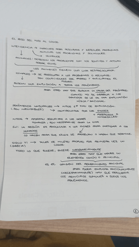 Miniatura del documento unnamed.jpg