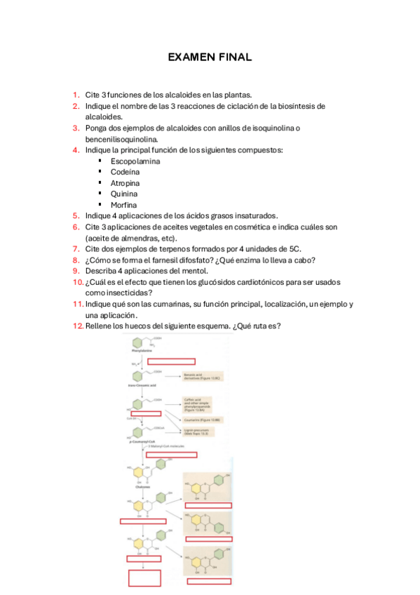 Miniatura del documento EXAMEN-FINAL.pdf