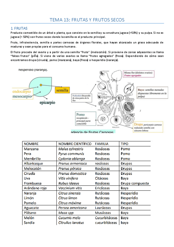 Miniatura del documento Tema-13-CPA-I.pdf
