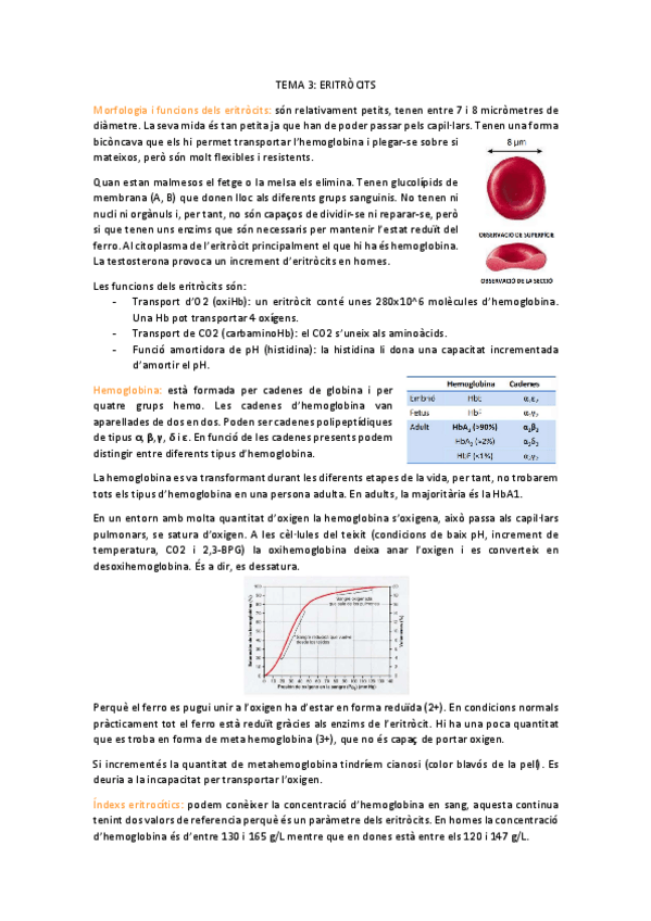 Miniatura del documento fisio-t3.pdf