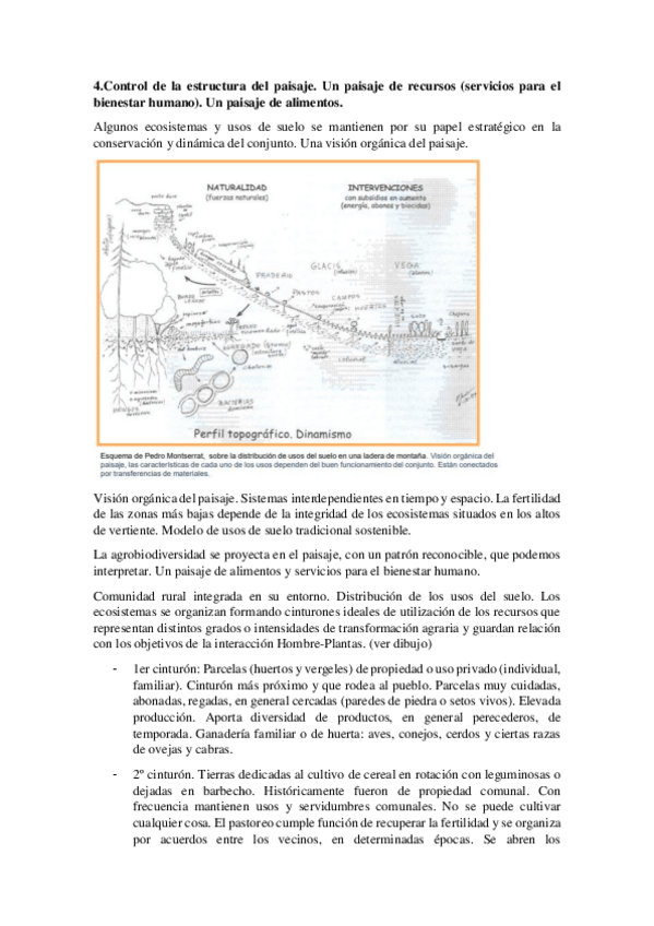 Miniatura del documento Tema-4-a-continuacion.pdf