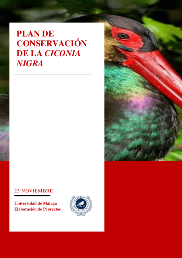 Miniatura del documento Plan-de-conservacion-de-la-Ciconia-Negra-1.pdf