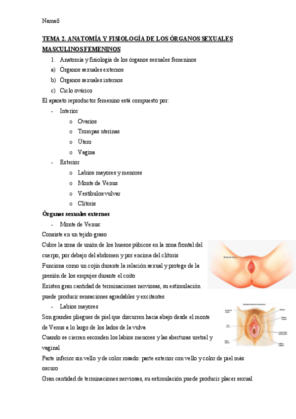Miniatura del documento TEMA-2.pdf