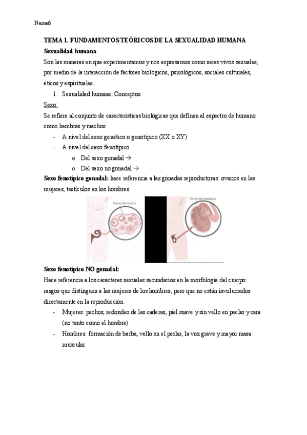 Miniatura del documento TEMA-1-TSYP.pdf