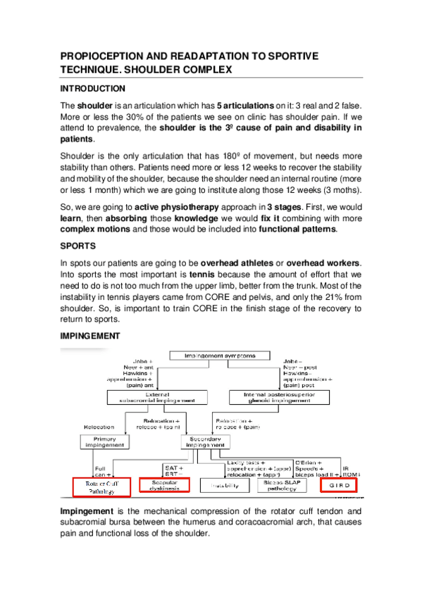 Miniatura del documento PROPIOCEPTION-AND-READAPTATION-TO-SPORTIVE-TECHNIQUE.pdf