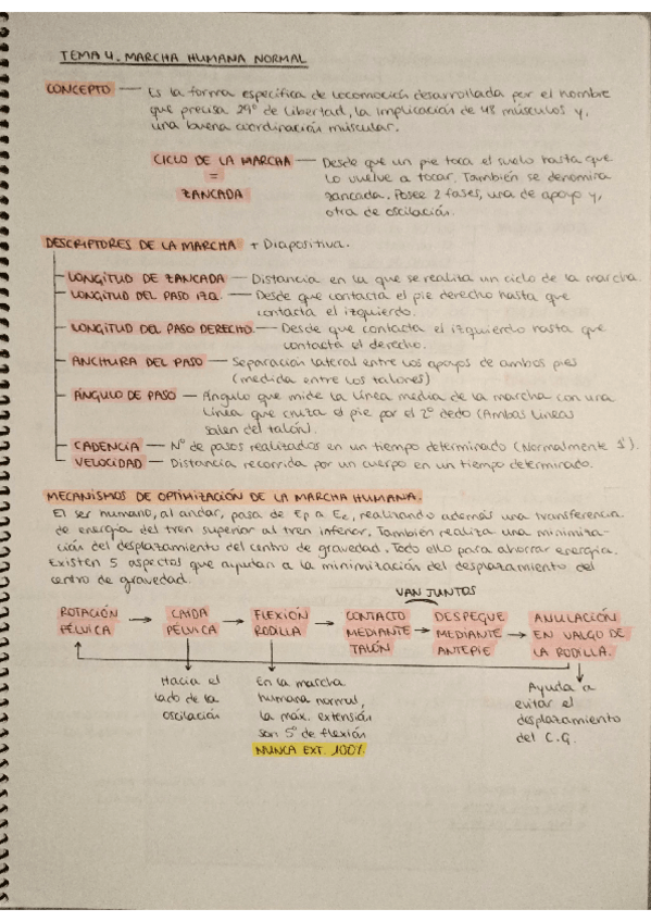 Miniatura del documento TEMA-4.pdf