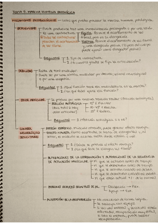 Miniatura del documento TEMA-5.pdf