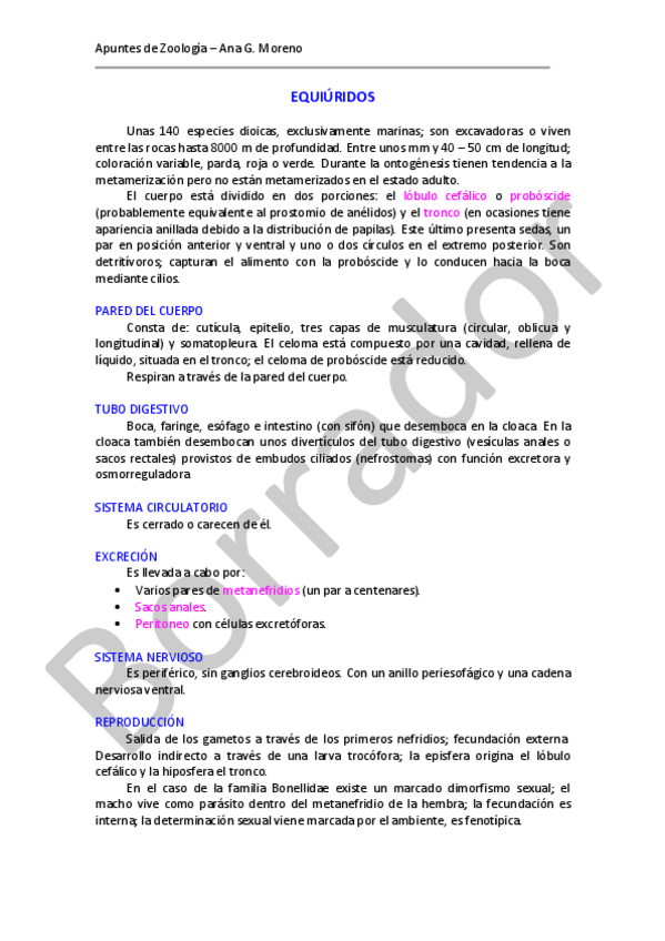 Miniatura del documento apuntes-taxones-menores.pdf