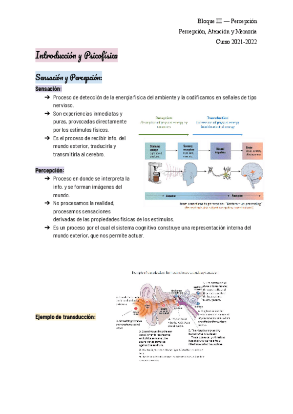 Miniatura del documento percepcionintroypsicofisica.pdf