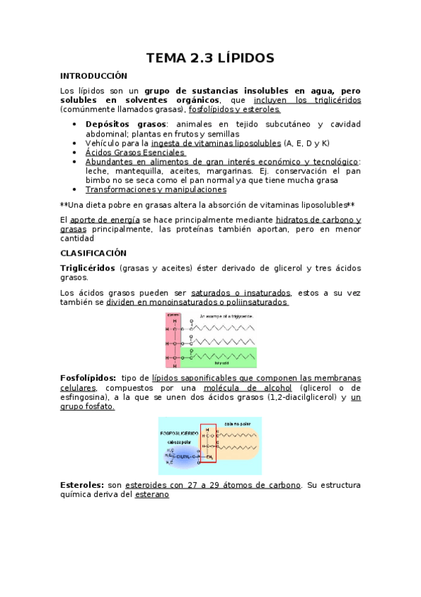 Miniatura del documento TEMA-2.odt