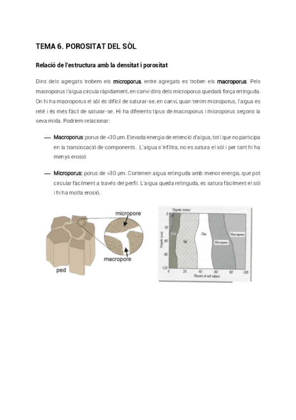 Miniatura del documento tema6.pdf