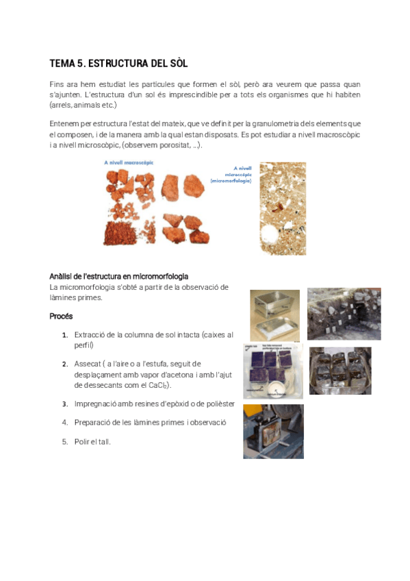 Miniatura del documento tema5.pdf