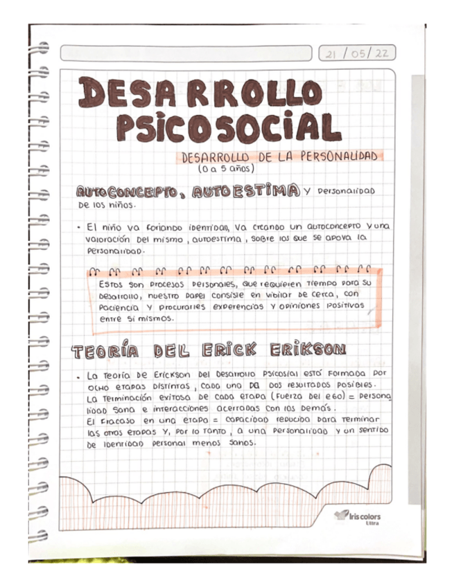 Miniatura del documento DESARROLLO-PSICOSOCIAL.pdf