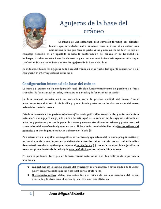 Miniatura del documento Agujeros-de-la-base-del-craneo.pdf