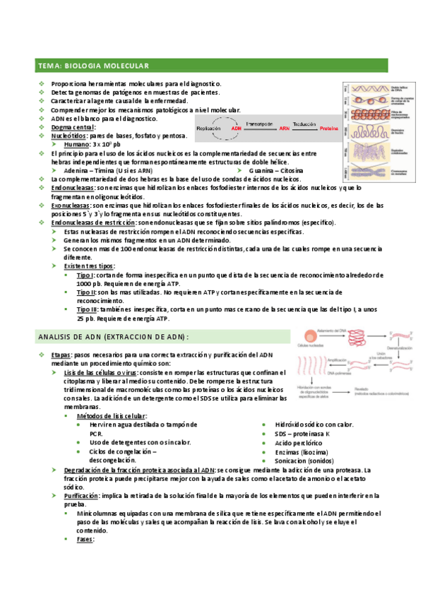 Miniatura del documento Biologia-molecular.pdf
