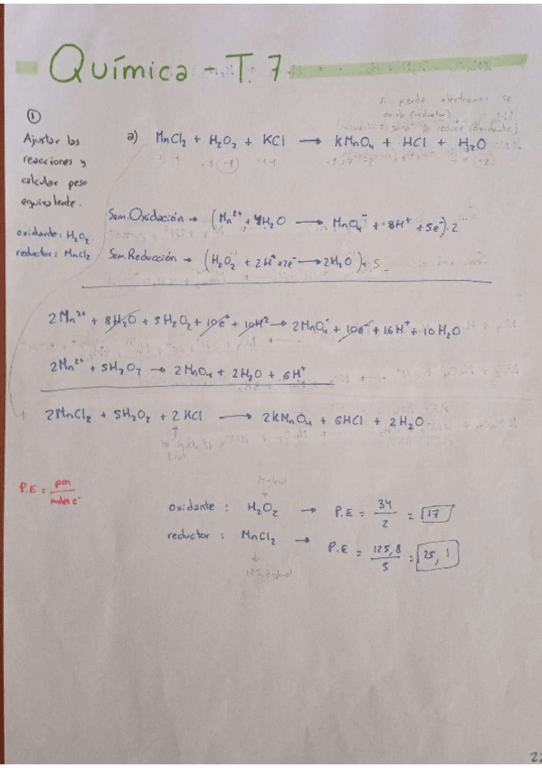 Miniatura del documento QUIMICA-T7-Y-8.pdf