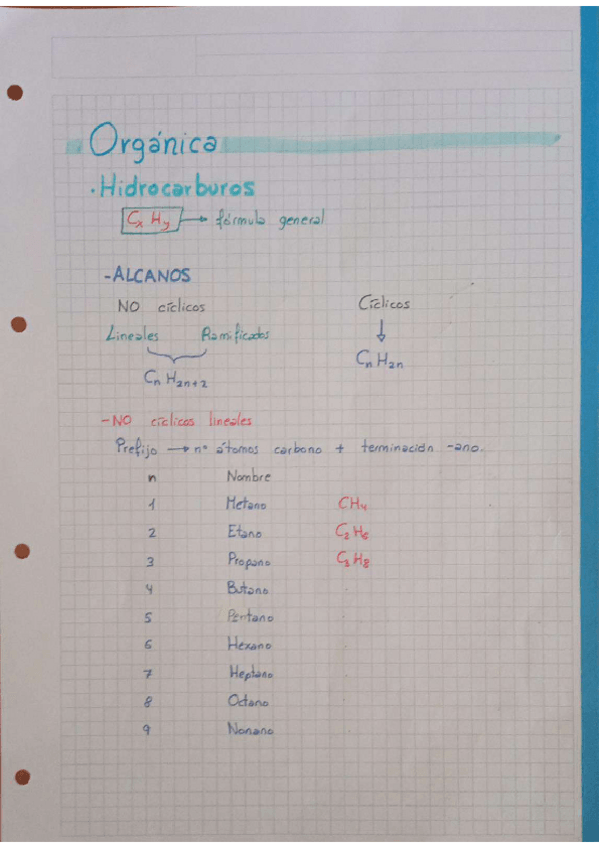 Miniatura del documento FORMULACION-ORGANICA.pdf