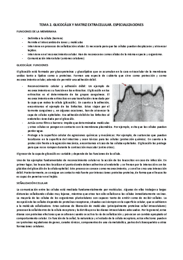 Miniatura del documento Tema-2.pdf