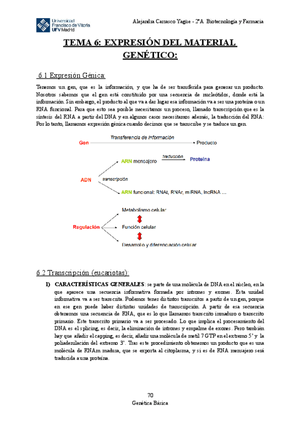 Miniatura del documento Apuntes-TEMA-6-Expresion-del-Material-Genetico.pdf