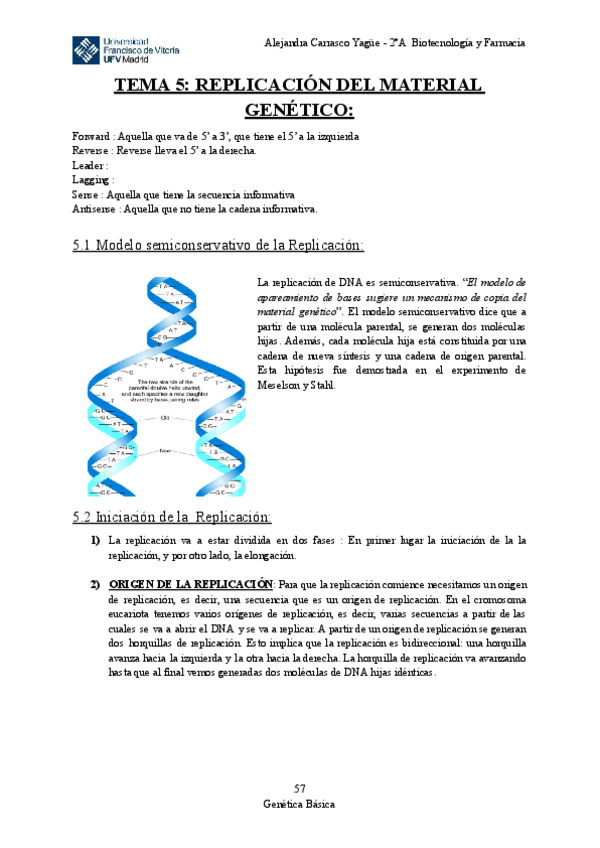 Miniatura del documento Apuntes-TEMA-5-Replicacion-del-Material-Genetico.pdf
