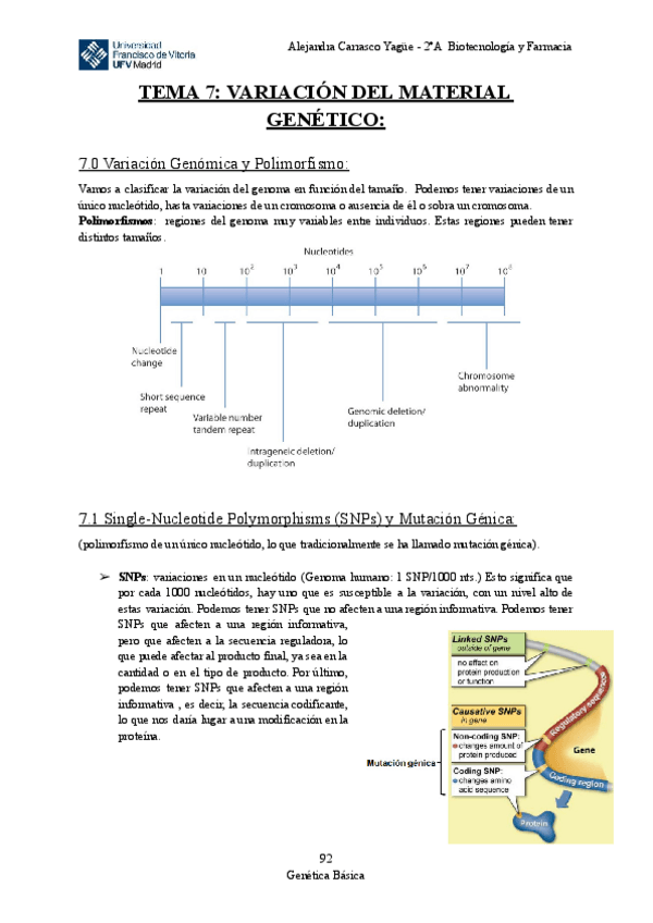 Miniatura del documento Apuntes-TEMA-7-Variacion-del-Material-Genetico.pdf