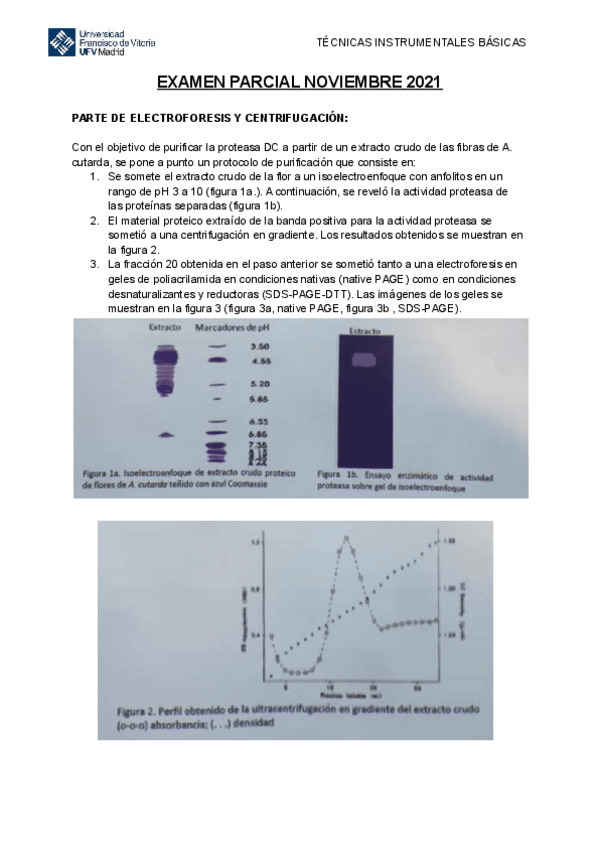 Miniatura del documento Examen-Parcial-TIB-2021.pdf