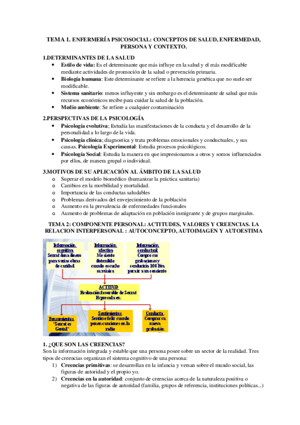Miniatura del documento PSICOSOCIALES-.pdf