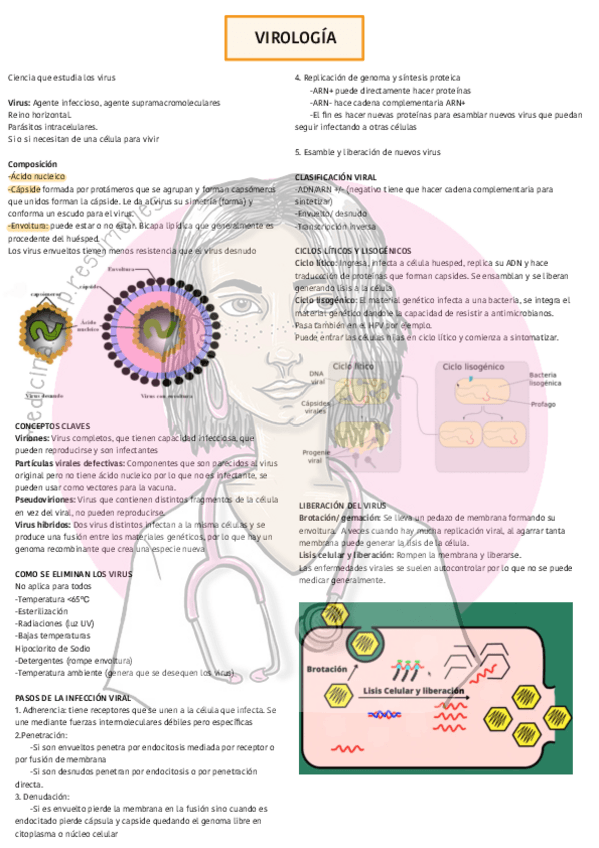 Miniatura del documento Virologiawatermark.pdf
