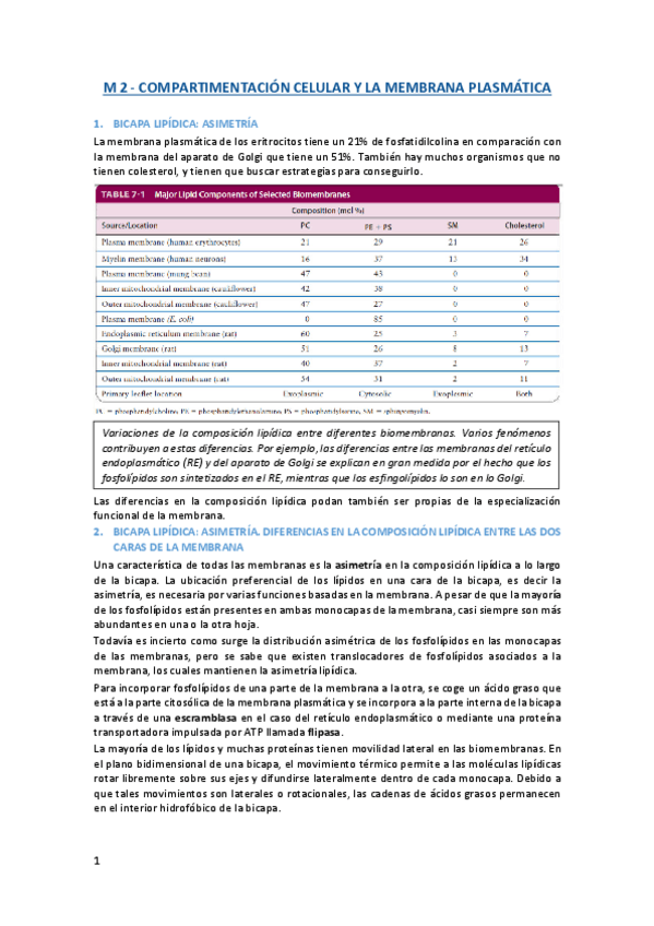 Miniatura del documento M2-Castella-Compartimentacion-celular-y-la-membrana-plasmatica.pdf