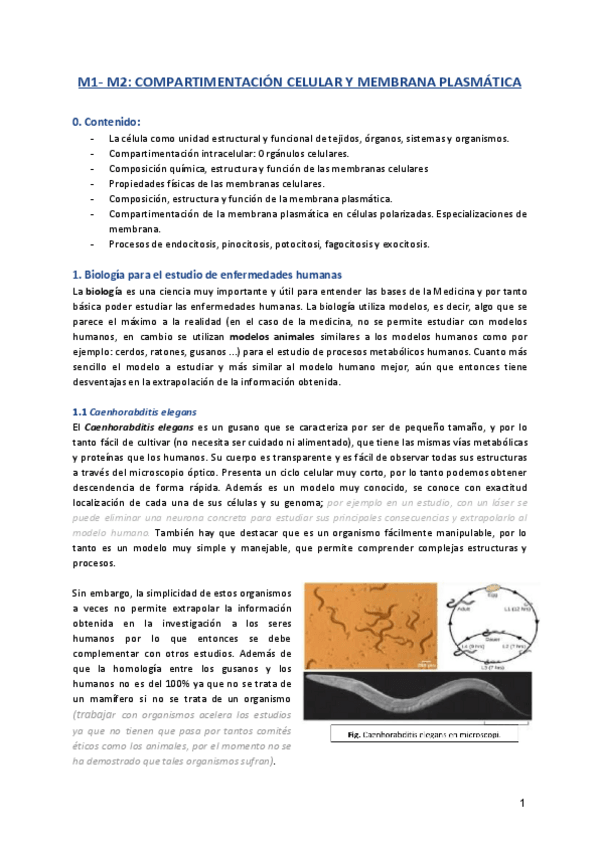 Miniatura del documento M1-espanol.pdf