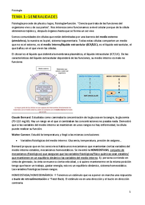 Miniatura del documento SN-FISIOLOGIA-1o-Parcial.pdf
