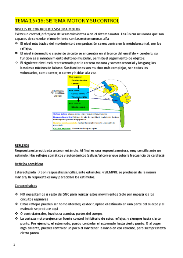 Miniatura del documento SN-FISIOLOGIA-2o-Parcial.pdf