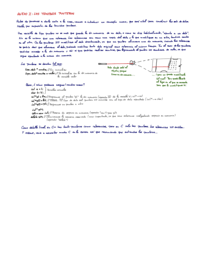 Miniatura del documento ANEXO-I-Los-temibles-punteros.pdf