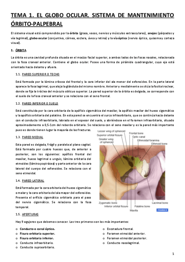 Miniatura del documento TEMA-1.pdf
