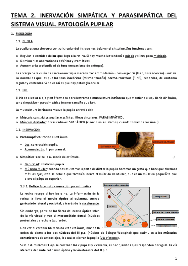 Miniatura del documento TEMA-2.pdf