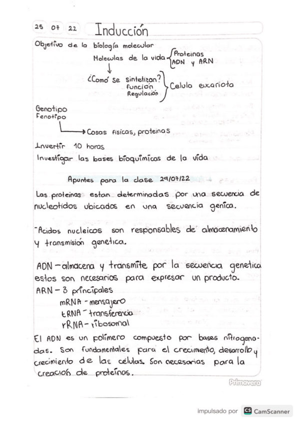 Miniatura del documento APUNTES-BIOLOGIA-LOLECULAR.pdf