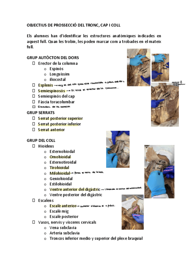 Miniatura del documento Diseccion-TRONC-CAP-I-COLL.pdf
