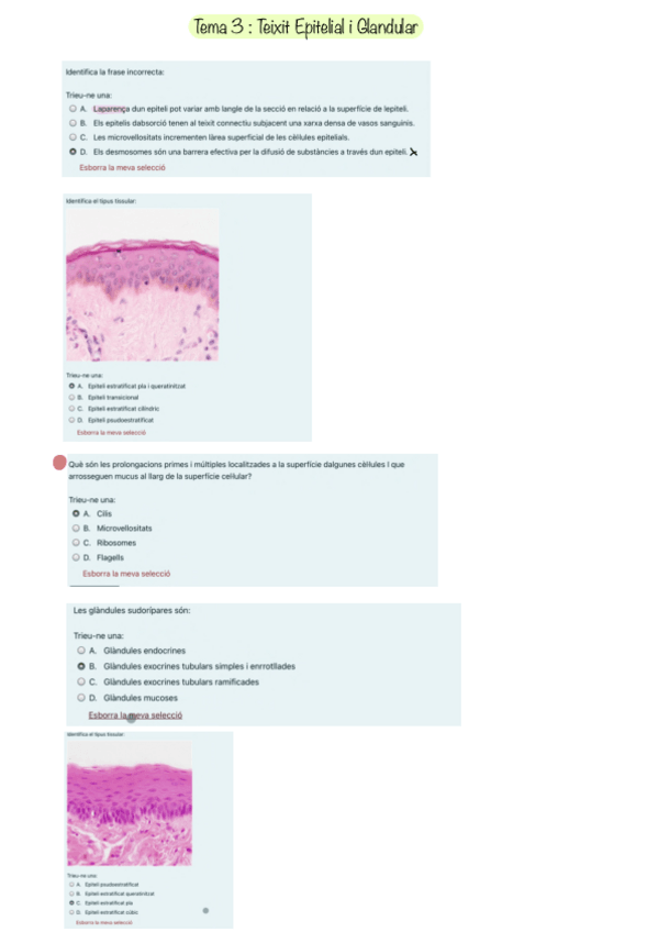Miniatura del documento Questionaris-.pdf