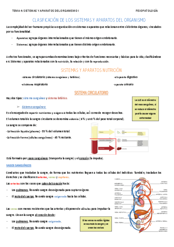 Miniatura del documento TEMA-4-FISIO.pdf