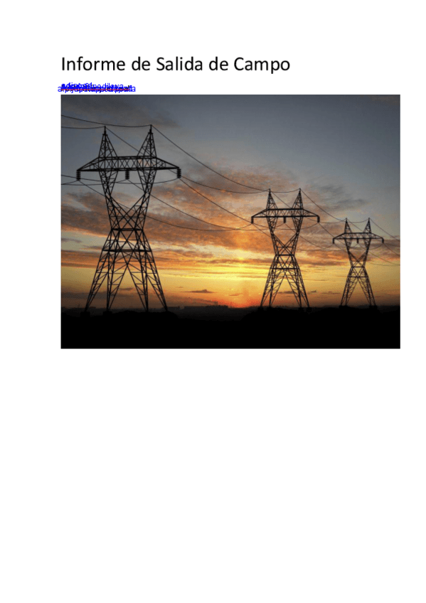 Miniatura del documento Informe-de-Salida-de-Campo.pdf