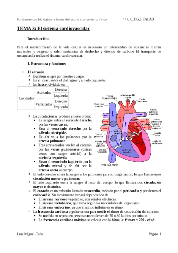Miniatura del documento Tema-3-El-sistema-cardiovascular.pdf