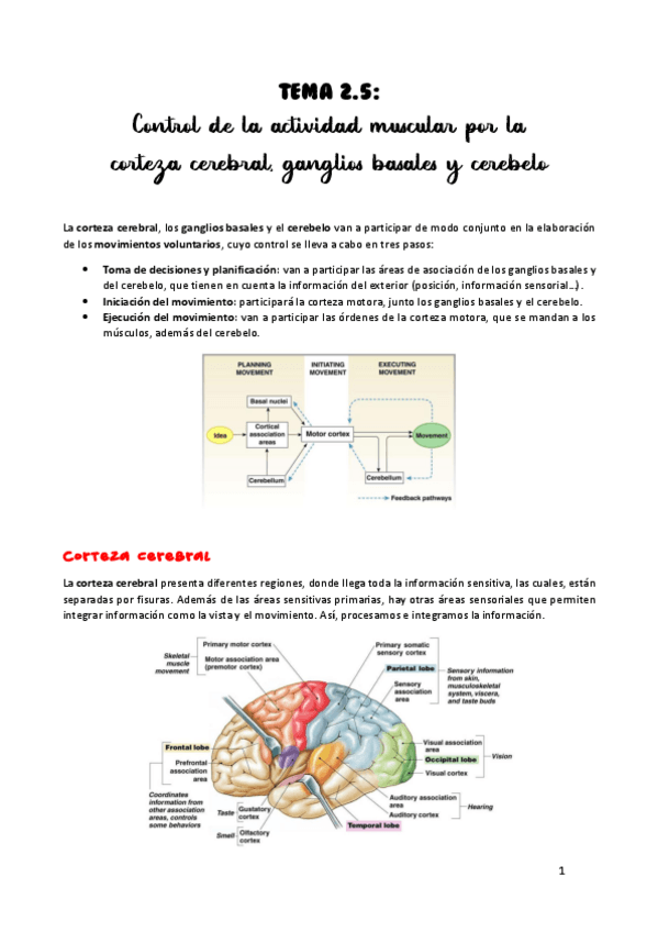 Miniatura del documento TEMA-2.pdf