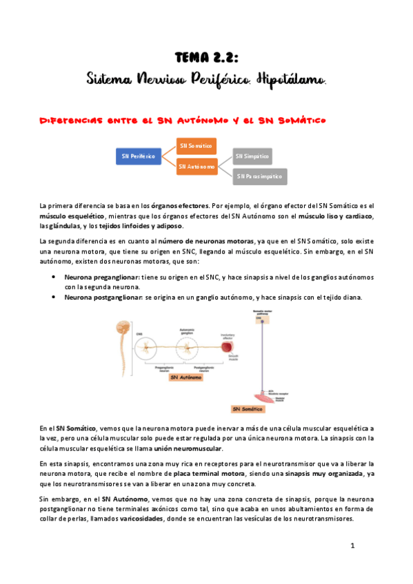 Miniatura del documento TEMA-2.pdf