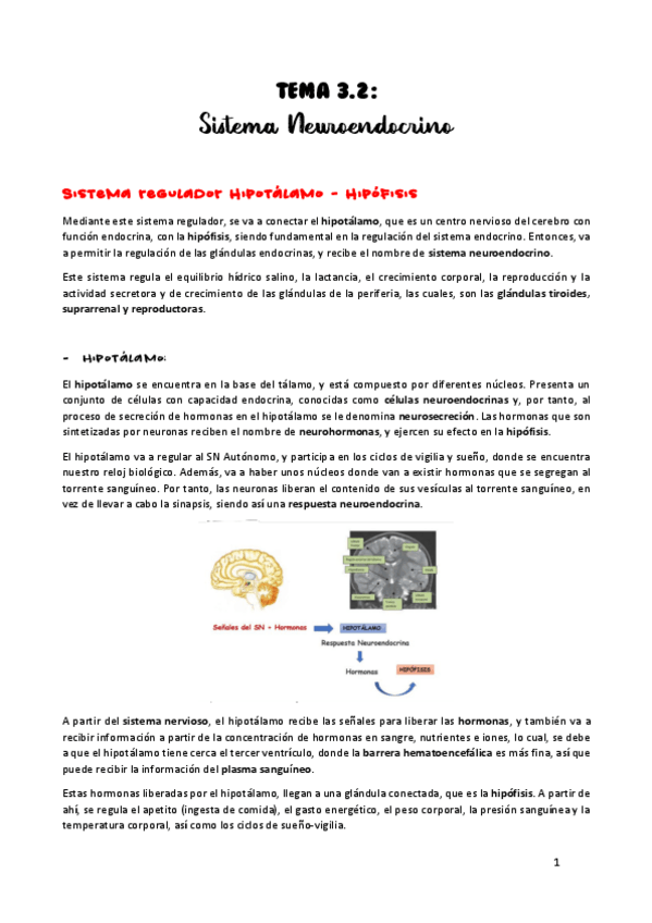Miniatura del documento TEMA-3.pdf