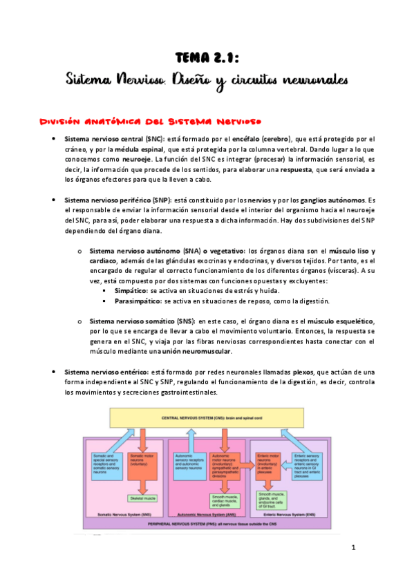 Miniatura del documento TEMA-2.pdf